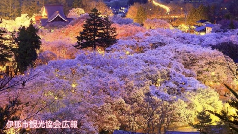 長野県上伊那の絶景で Zoomバーチャル背景を楽しもう やまこ母の長野移住ライフ