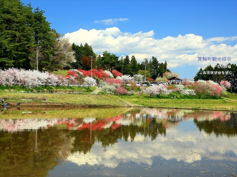 上伊那　バーチャル背景