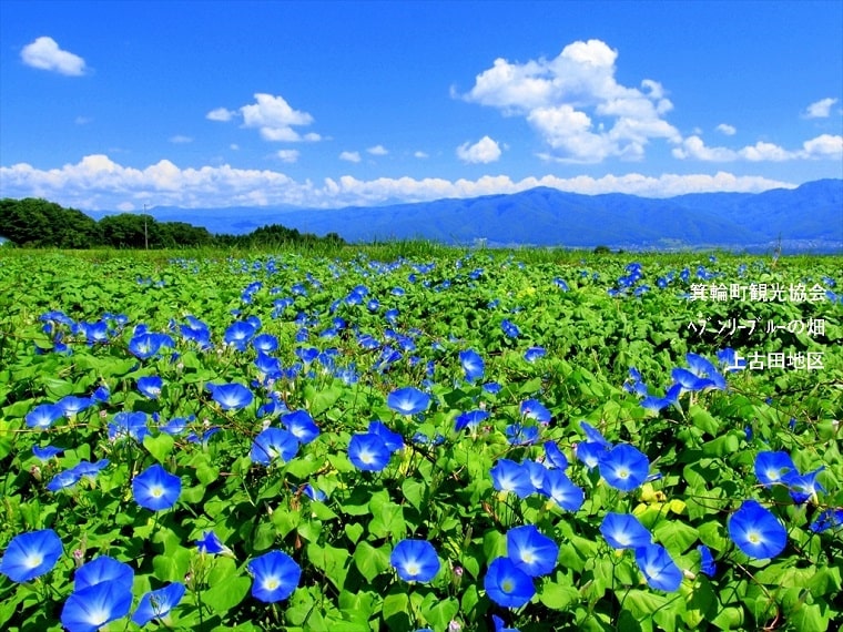 長野県上伊那の絶景で Zoomバーチャル背景を楽しもう やまこ母の長野移住ライフ