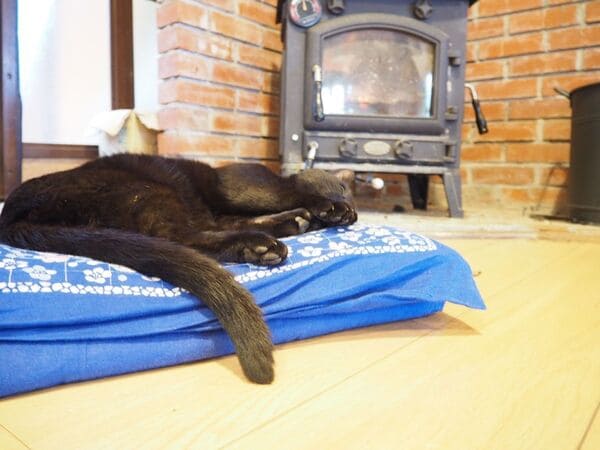 薪ストーブの前で寝る猫