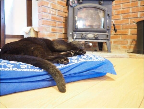 薪ストーブの前で寝る猫