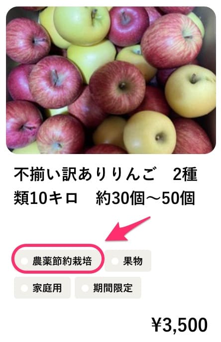 不揃い訳ありりんご　2種10キロ
